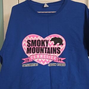Fruit of the Loom Kids Blue and Pink Smoky Mountains T-Shirt